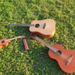 Singen mit Ilze und Freund*innen